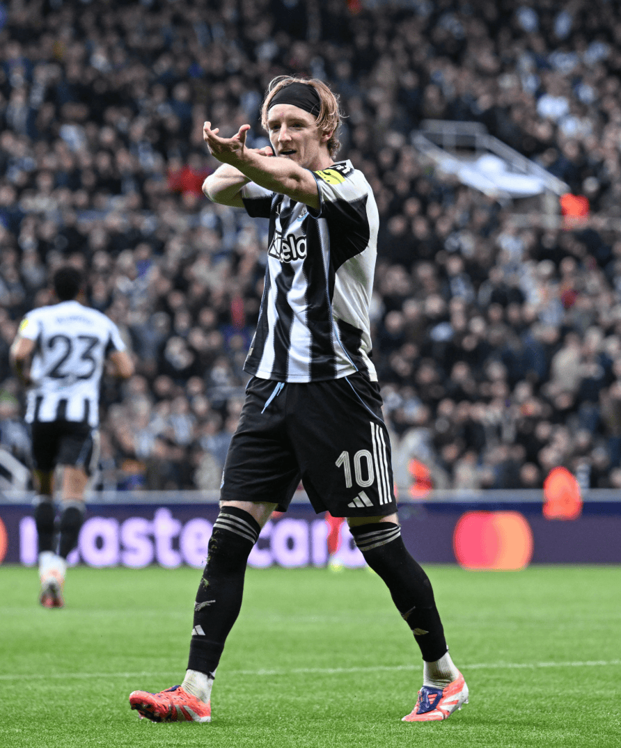 今夜纽卡斯尔调整名单以备社区盾,豪取连胜环节打磨,气氛紧张,团队化学反应显著的简单介绍 今夜纽卡斯尔调整名单以备社区盾,豪取连胜环节打磨,气氛紧张,团队化学反应显著的简单介绍