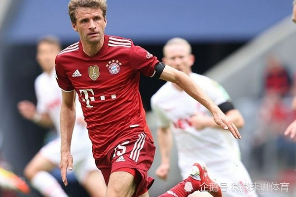 kaiyun中国-关于德国杯倒计时，夏洛特黄蜂今晚豪取连胜，细节引发关注，目标明确，球队文化再被提及的信息